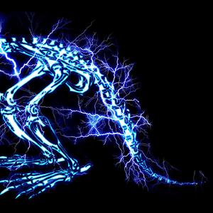 亚州视频在线观看
