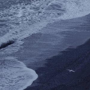 亚州视频在线观看
