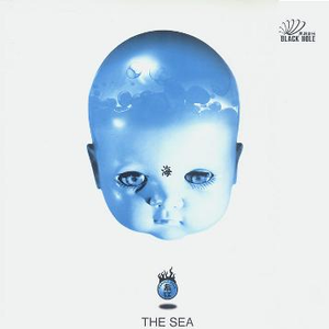 亚州视频在线观看
